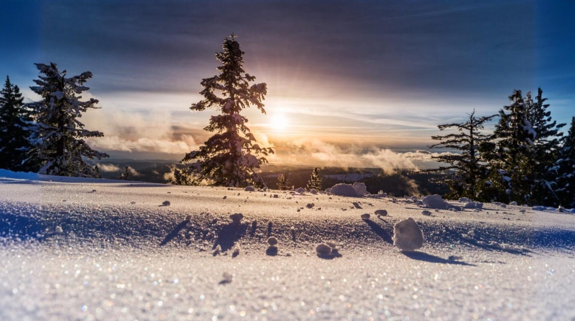 HOLIDAYS WINTER 2026